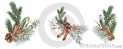 Set of Christmas bouquets with fir branches, pine cones, eucalyptus, dried flowers Cartoon Illustration